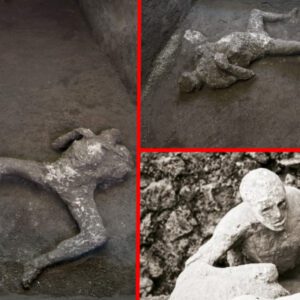 "Exploring Pompeii's Hidden Narratives: The Intriguing Archaeological Revelation of a 2,000-Year-Old Man's Personal History"