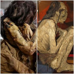 "Unveiling Mysteries: Revealing the 1,700-Year-Old Tattooed Female Mummy from the Nazca Culture at the Maria Reiche Museum, Peru"