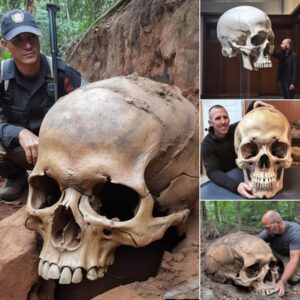 Unearthing the Enigma: Giant Skull Unveiled in Serendipitous Discovery