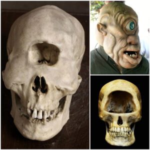 These Cyclops inhabited various regions, including parts of Africa, Europe, and areas along the Mexico-U.S. border in America. Evidence of their existence, dating back to 30,000 years ago, was found in caves.