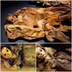 A family of Inuit hunters believed to be frozen for over 500 years are North America’s best preserved mummies