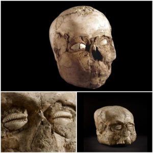 "Ancient Stare: Unveiling the Haunting Allure of the Jericho Skull's Shell Eyes, a 9,000-Year-Old Artifact"