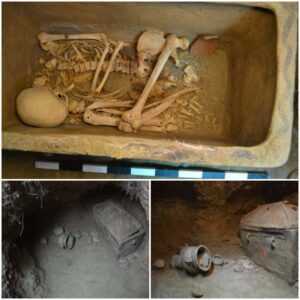 "Unearthing Ancient Wonders: Greek Farmer's Discovery of a 3,400-Year-Old Tomb Beneath the Olive Grove"