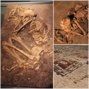 "Negev Enigma: Unearthing the Mysterious 2,500-Year-Old Skeletons in Israel's Negev Region"