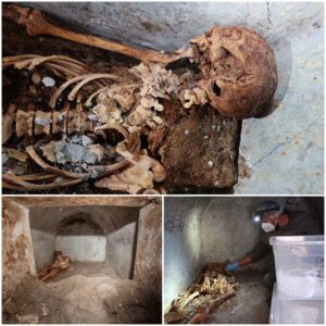 "Ancient Beauty Revealed: Pompeii's 2,000-Year-Old Skeleton with Astonishingly Preserved Hair"