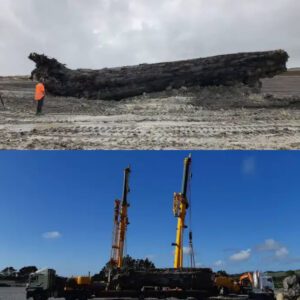 A huge 60-ton log that is more than 40,000 years old was found in a swamp in New Zealand. It might help solve the world’s biggest puzzle