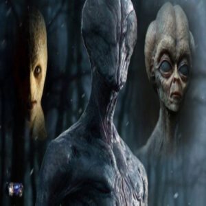 Alien Education Systems: Illuminating the Path of Cosmic Knowledge