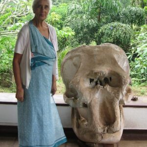 Unearthing the Colossal Enigma: The Discovery of a 37,000-Year-Old Giant Skull in Sri Lanka