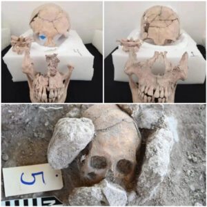 Unearthing Ancient Mysteries: Ritualistic Beheadings and Skull Deformation Evidence Found at Maya Pyramid in Mexico