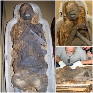 Coffin Chronicles: Unearthing the 4,000-Year-Old Chinese Mummy of an Everyday Woman