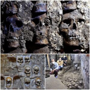 Unveiling the Enigma: Archaeologists Discover Over 100 Skulls at Skull Island, an Aztec Site in Mexico City