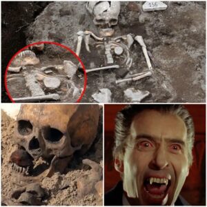 Unveiling Vampire Burial Rituals: Defying Resurrection with Mouth Stuffed with Rocks and Chest Pierced with Stakes