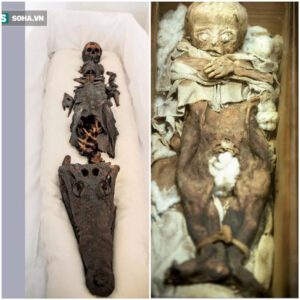 Unveiling the Enigma: The Long-Hidden "Two-Headed Mummy" Emerges, Unveiling a Peculiar Tale