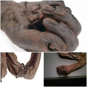 Old Croghan Man — a preserved human body over 2,000 years old