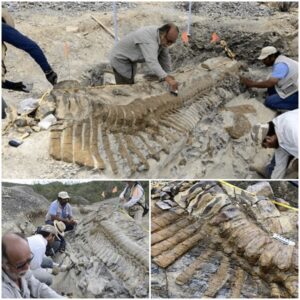 72-million-year-old dinosaur tail found in Mexican desert baffles archaeologists