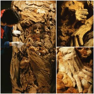 Astounding Discovery Of Mother And Child Inca Mummy From Lima’s Enigmatic Puruchuco-Huaquerone Cemetery ‎