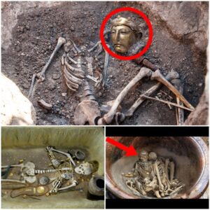 Discovering the Hidden Jar and Skeletons of Rich Cottle’s Secret History