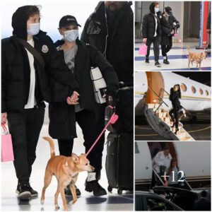 Cameras Recorded A Series Of Moments Ariana Grande And Boyfriend Ethan Slater Hand In Hand As They Jet Into Nyc Together.