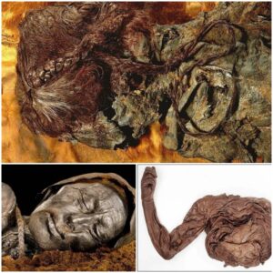 Examining Over 1,000 Corpses to Learn About Scandinavia's Secrets, Including Well-Known Peatland Mummies