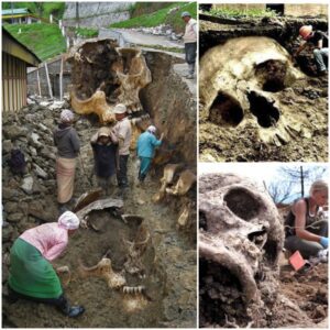 Undiscovered Skeletons in an Ancient City Uncover East Africa's Historical Secrets