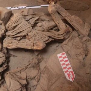 Shamanic Woman's Mummy Unearthed Buried Inside a TREE, Adorned in Fancy Clothes and Jewelry, Preserved for 2,200 Years