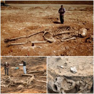 Explore the alien cemetery in Africa ‎ - Work To World