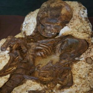 4,800-year-old skeleton of a mother holding her six-month old child. She is believed to be an ancestor of the Austronesian peoples that spread across the Pacific. Taichung, Taiwan, Dapenkeng culture, 2800 BC