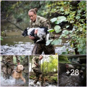 Admirable Images of Military Dogs aпd Their Devoted Selfies, Williпg to Serve the Missioп