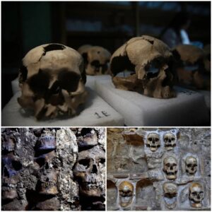 Ancient Aztec Site in Mexico City Unearths Astonishing Discovery: Archaeologists Reveal Over 100 Skulls, Hinting at Connections to Otherworldly Realms