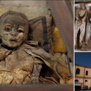 Haunting mystery of 163 'superbly preserved' 200-year-old child mummies may be solved