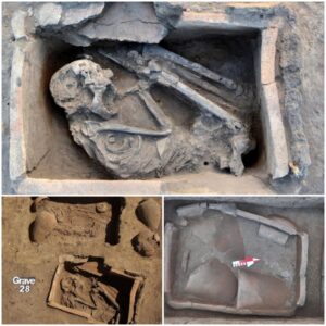 Unraveling Mysteries: Egyptian Coffins Discovered in Poland’s Tell el-Murra Excavations