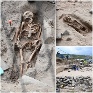 Hidden History: 200 Skeletons Speak from the Depths of a 500-Year-Old Cemetery Beneath the Blue Flag