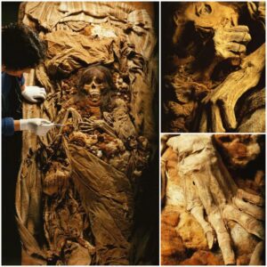 Enchanting Revelations: Inca Mother-Child Mummy Revealed in Lima’s Puruchuco-Huaquerone Cemetery