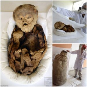 Exploring Peru’s Past: Unraveling the Story Behind a Mummified Pre-Inca Baby in an Ancient Tomb