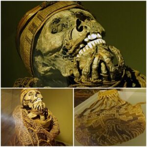 Discover the Enigmatic Ancient Warrior Mummies: Chilling Tales from the Puno Archaeological Museum