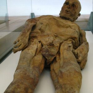 Eternal Enigma: Venzone’s Mysterious Unchanging Mummies Defy the Ravages of Time