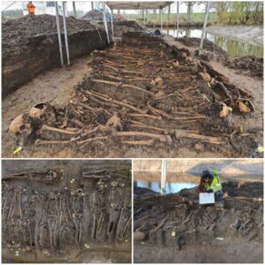 Discovery of 20 Medieval Mass Grave Skeletons Unearthed in a Dutch Dike