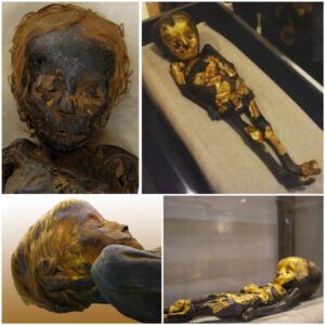 Discovery of an ancient Egyptian infant mummy, approximately 8 months old and dating from the Roman period, covered in gold dust.