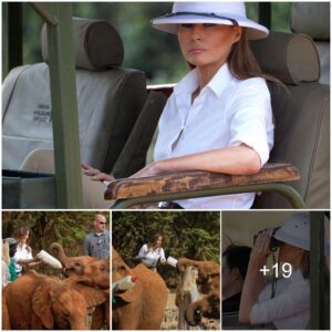 Unveiling Joy: Melania Trump’s Heartwarming Encounter with Playful Elephant Calves