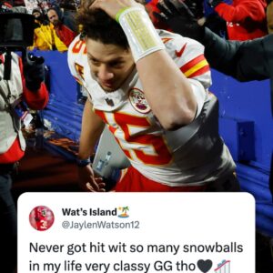 The Kansas City Chiefs players expressed their displeasure with Buffalo Bills fans throwing snowballs at them.