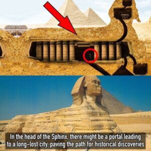 The Strangest Secrets Of The Ancient Sphinx Have Finally Been Revealed.