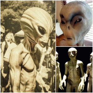 Extraterrestrial Senses: How Aliens Might Perceive the Universe..?