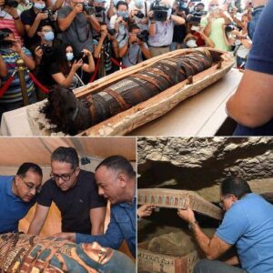 13 Intact Coffins Found in Saqqara Burial Shaft, Dating Back 2500 Years. 🇪🇬⚰️ An incredible glimpse into ancient Egyptian history!