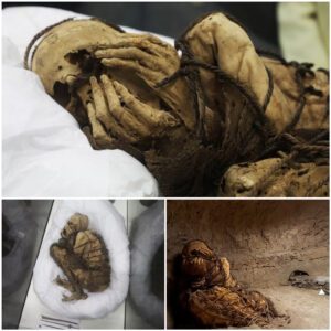 Archaeological breakthrough: Discovery of a 1,000-year-old mummy tied with rope in an underground tomb with her face covered (video)