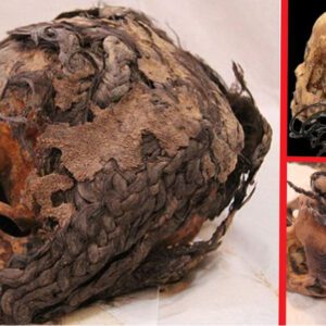 A 3,300-Year-Old Hairstyle on a Preserved Ancient Egyptian Head