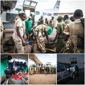 Survival in the Wild: Nabulu's Heartwarming Tale of Rescue, Inspiring Awe in Dedicated Caretakers!