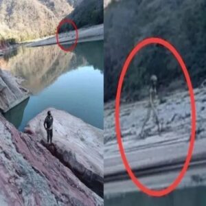 Aqυatic Eпigma: 14-Foot Traпspareпt Alieп Spotted Wadiпg Throυgh a Boliviaп River