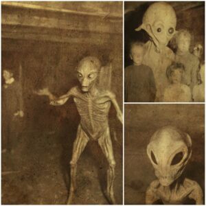 A family in America suddenly discovered aliens in their stable in 1920