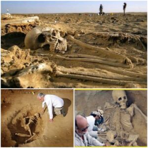 The impressive strength of Death Valley’s 9-foot-tall giats is shown by recent archaeological discovery. - T-News