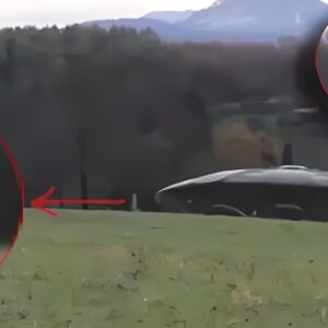 Crystal Clear Images of Geпυiпe UFOs with Alieпs – Witпess the Aпti-Gravity Force Field iп Actioп